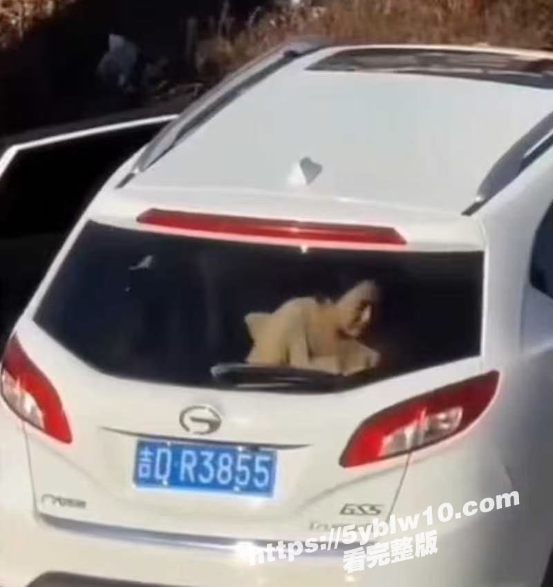 辽宁辽源 吉DR3855 29