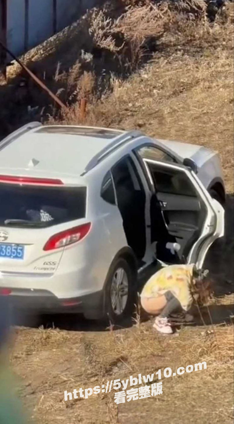 辽宁辽源 吉DR3855 31