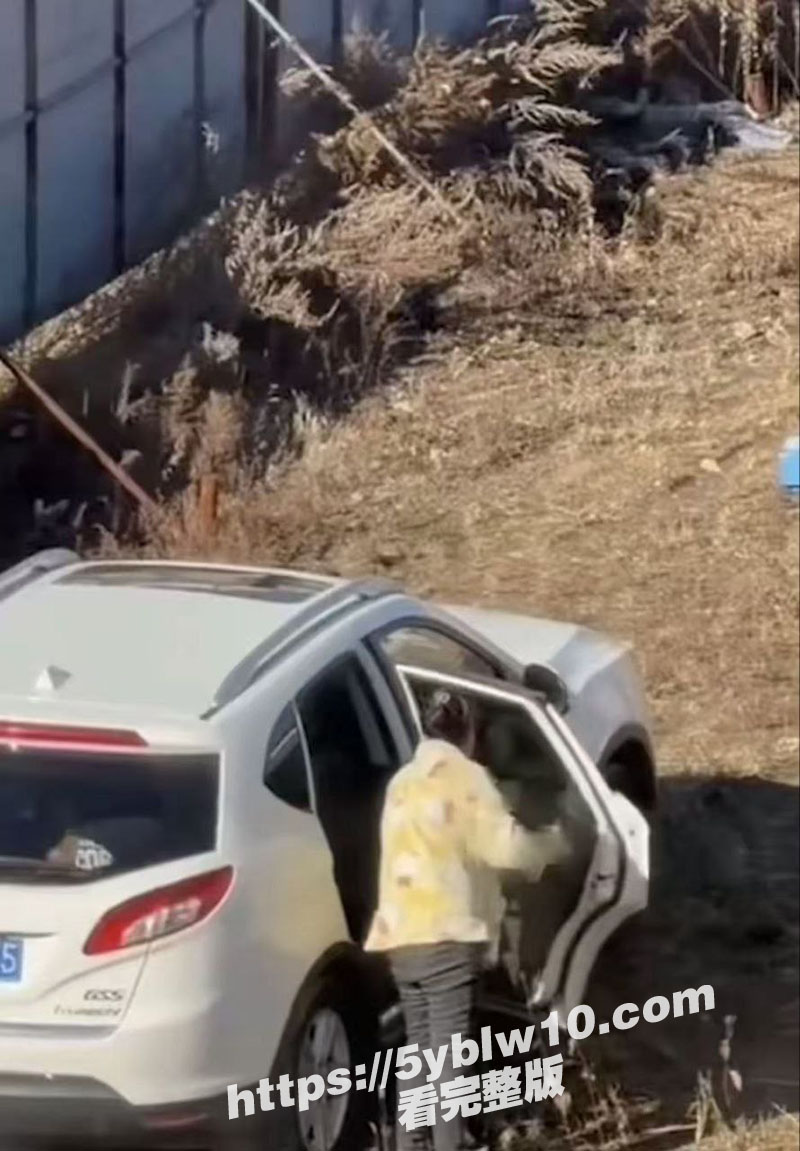 辽宁辽源 吉DR3855 30