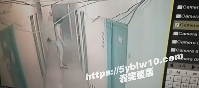 深圳宝安区5 深圳宝安区5