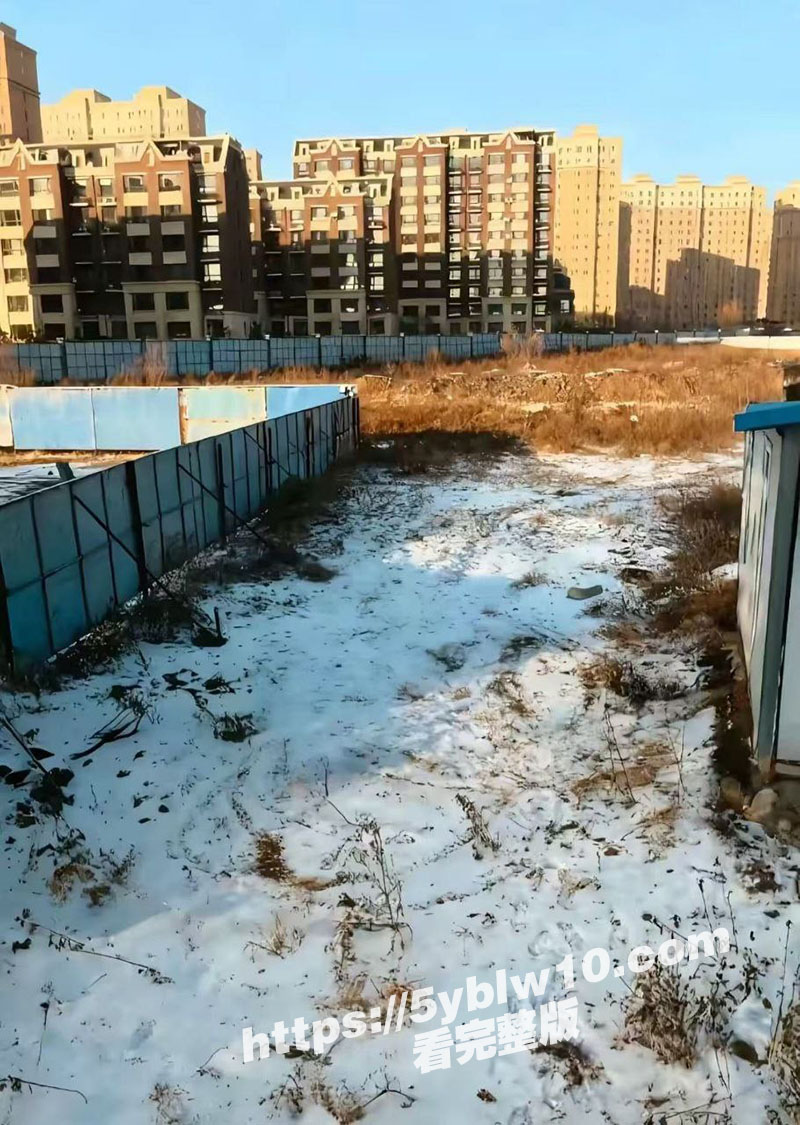 辽宁辽源 吉DR3855 28