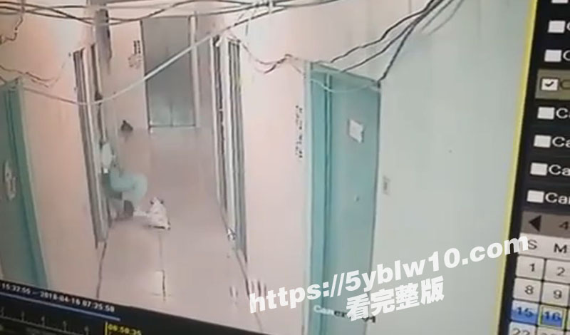 深圳宝安区8 深圳宝安区8